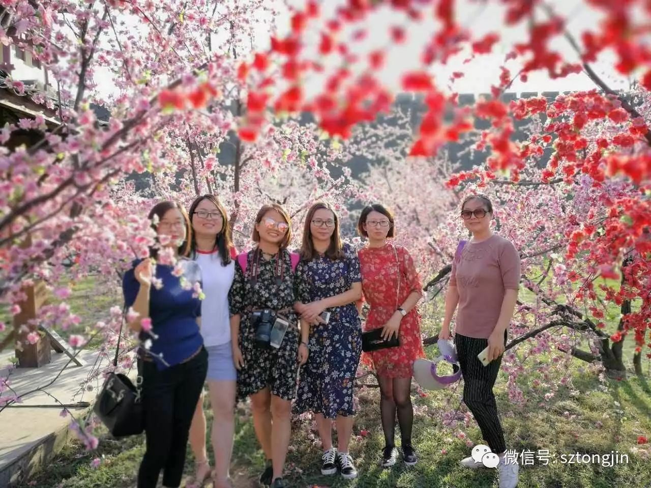 蘇州通錦金秋橫店歡樂(lè)游圓滿結(jié)束!